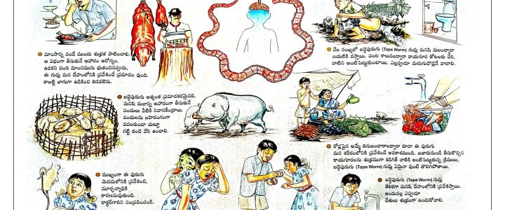 Tapeworm Telugu